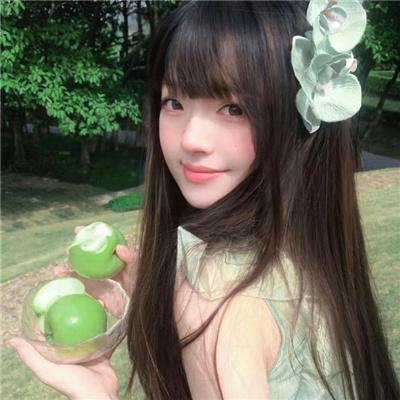 雏菊